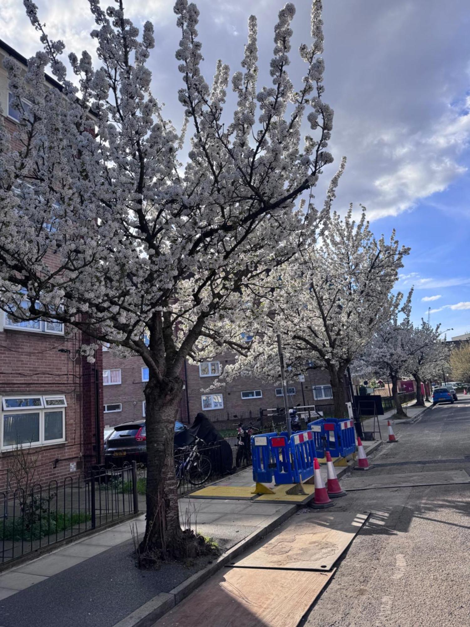 Appartamento Stunning 3bedroom Flat In Bethnal Green- 3mins Away From Underground Station Londra